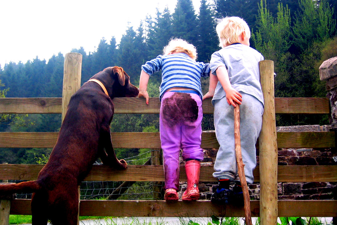 Abercynafon Farm Barn - kids & pets welcome Abercynafon Farm Barn - kids & pets welcome